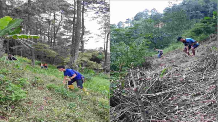 Peduli Hutan, Karta Cogreg Panawangan Ciamis Tanam Ratusan Pohon