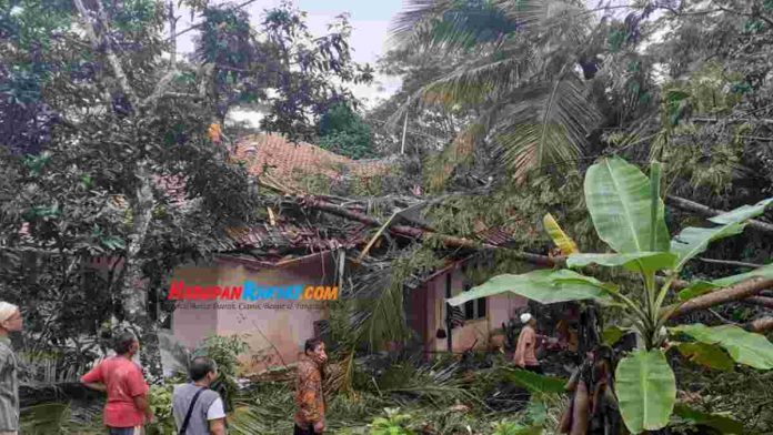 Rumah di Ciamis Tertimpa Pohon