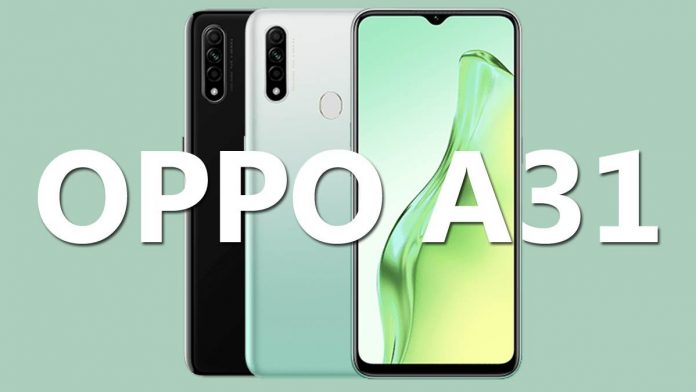 Spesifikasi HP Oppo A31