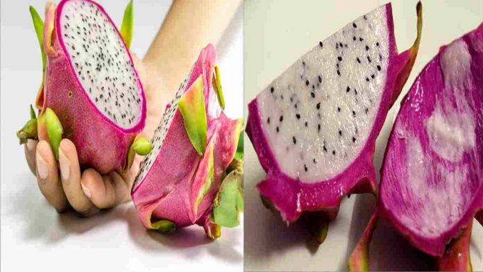 9 Manfaat Kulit Buah Naga untuk Mengontrol Kolesterol dan Bikin Awet Muda
