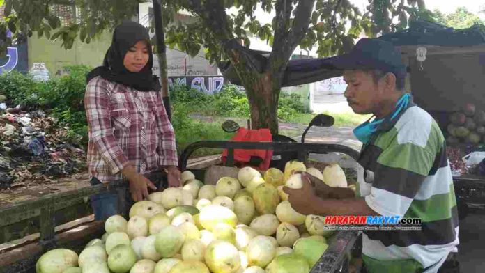 Bawang Merah Mahal
