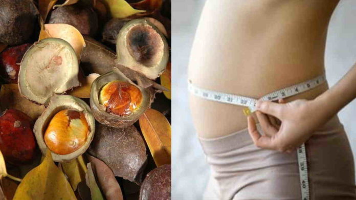Bolehkah ibu hamil makan jengkol