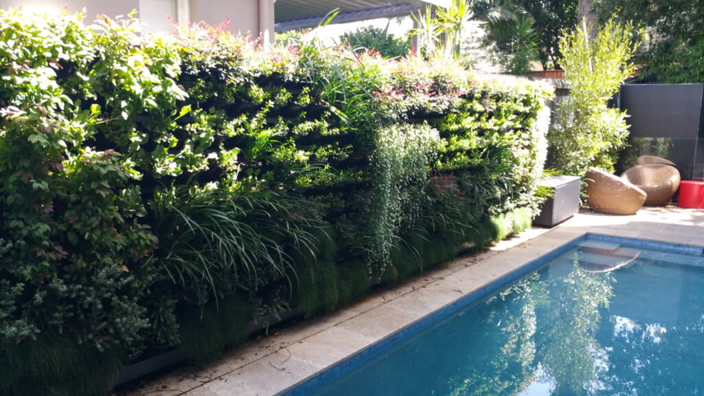 Desain Taman Vertikal Minimalis
