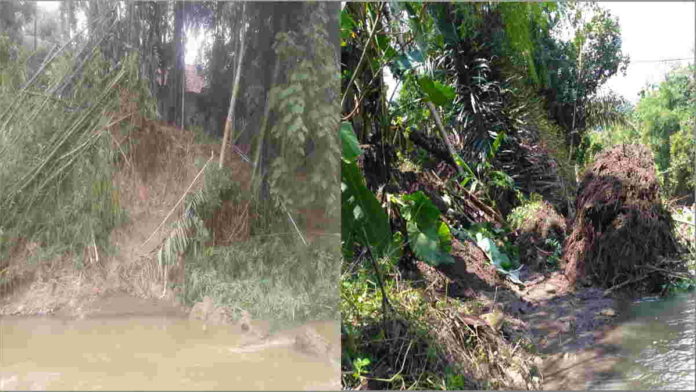 Diguyur Hujan Deras, Tebing Sungai Citalahab Ciamis Longsor