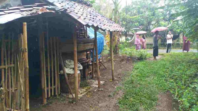 Kambing warga kota Banjar
