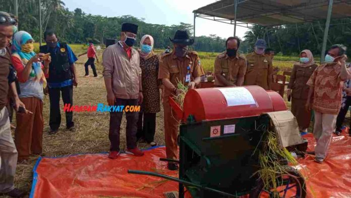 Perontok Padi