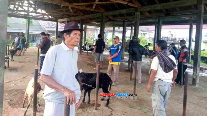 Aktivitas jual beli hewan ternak di Pasar Pamarican, Kabupaten Ciamis. Foto: Suherman/HR.