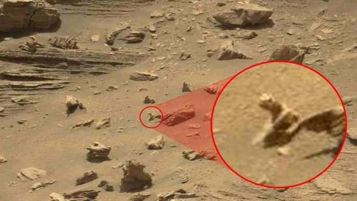 penampakan alien reptil di mars