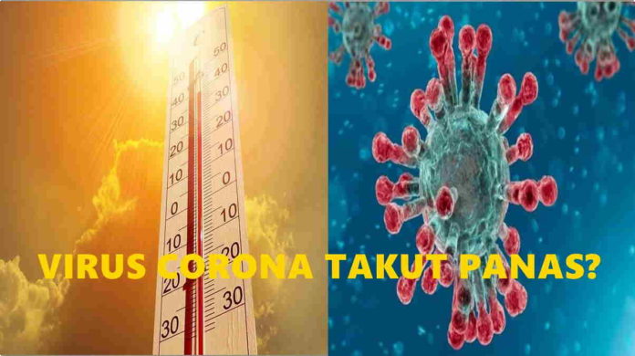 Virus Corona Takut Panas