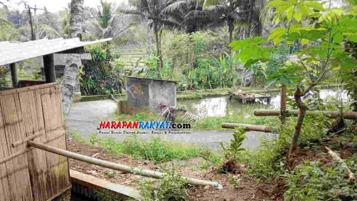 jalan sarang tawon jatuh
