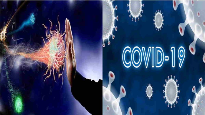 Antibodi SARS Potensial Menjadi Obat Penyakit Corona, Kata Riset Terbaru