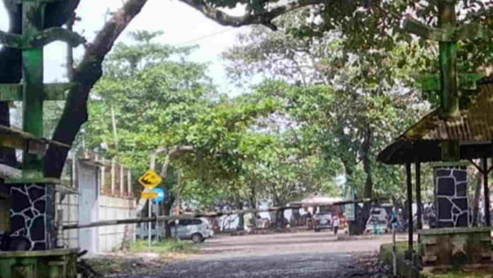 Pantai Cipatujah Tasikmalaya Buka, Pengunjung Harus Pakai Masker dan Terapkan Social Distancing