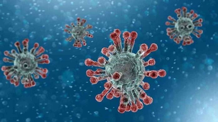 virus corona dapat menginfeksi usus