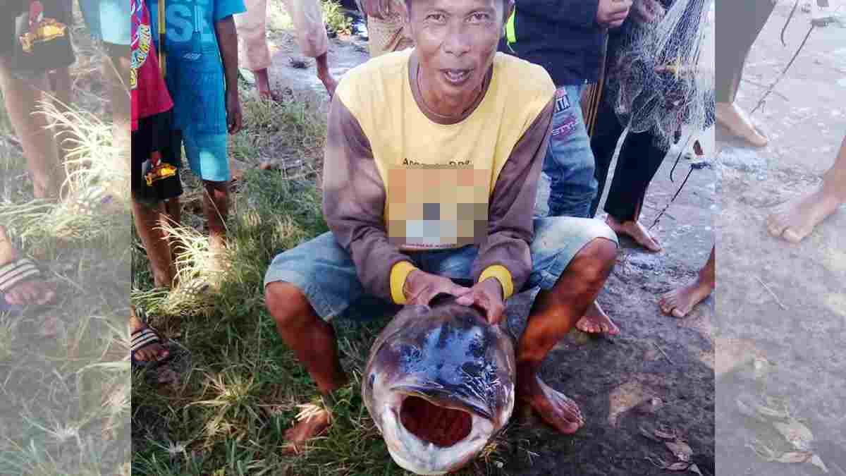 Ikan jalak