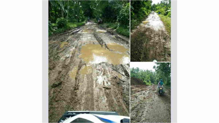 Infrastruktur Jalan di Cigayam Ciamis Rusak Parah