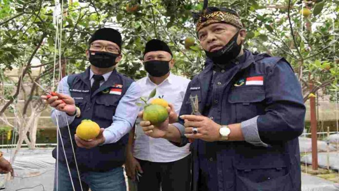 Jabar Dukung Koperasi Pangan yang Dikembangkan Pemerintah
