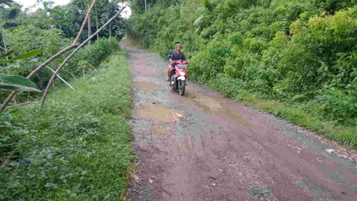 Jalan Penghubung Pangandaran-Tasikmalaya di Jayasari Rusak Parah
