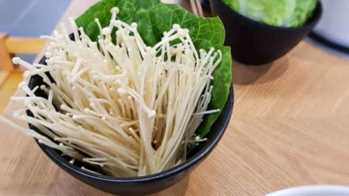 Jamur Enoki Berbahaya Bagi Kesehatan dan Sebabkan Listeriosis, Ini Faktanya