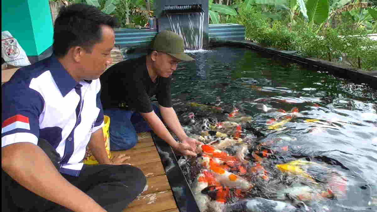 Keuntungan Mencapai Puluhan Juta Warga Banjaranyar Ciamis 