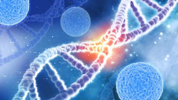 Perbedaan DNA dan RNA sebagai Pewaris Sifat Genetika