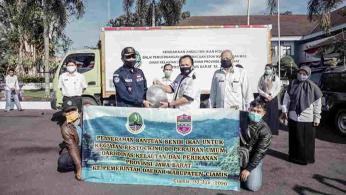 Populasi Ikan di Perairan Umum Berkurang, Pemkab Ciamis Tebar 400.000 Benih Ikan