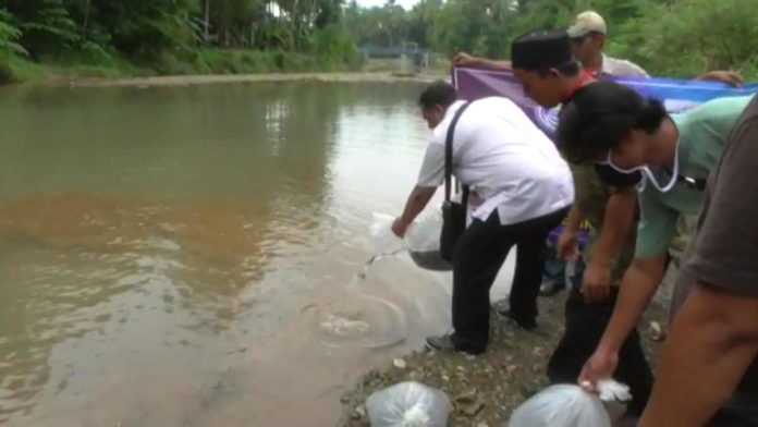 Puluhan Ribu Benih Ikan Ditebar di Sungai Cikaso dan Kawasen Ciamis