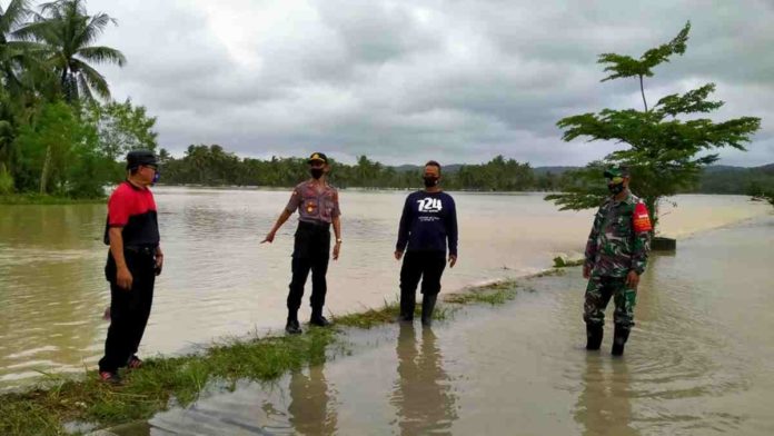 sawah di Pangandaran terendam banjir