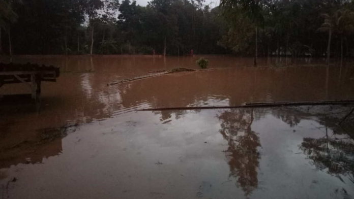 Tanggul Sungai Jebol, Puluhan Rumah dan Sawah di Ciamis Terendam Banjir