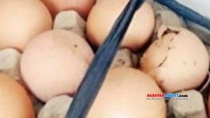 Telur Busuk Bantuan Pemprov Jabar