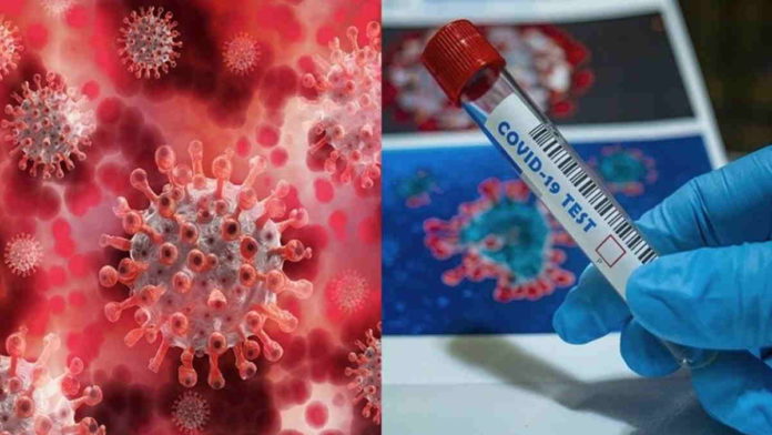 virus Corona Covid-19
