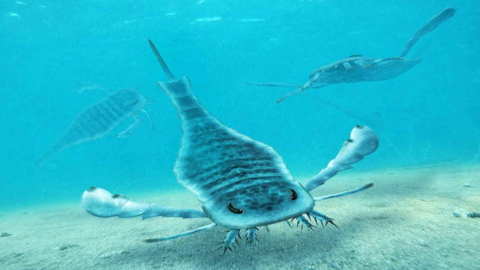 Kalajengking Laut Raksasa