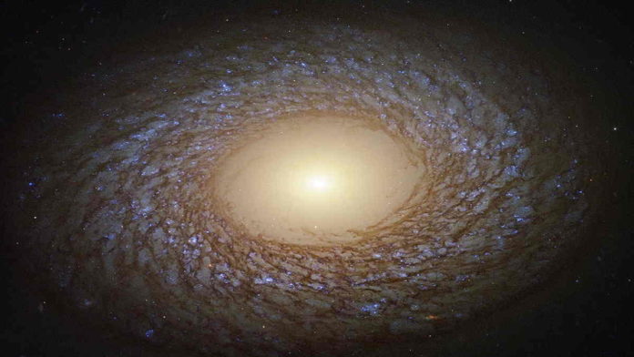 Galaksi Spiral Berbulu NGC 2775
