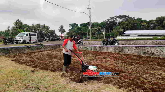 Cara menggunakan traktor mini Cultivator untuk mengolah lahan pertanian dilakukan Petugas Penyuluh Lapangan (PPL) di Desa Sindangsari, Kecamatan Kawali, Kabupaten Ciamis. Foto: Edji Darsono/HR.