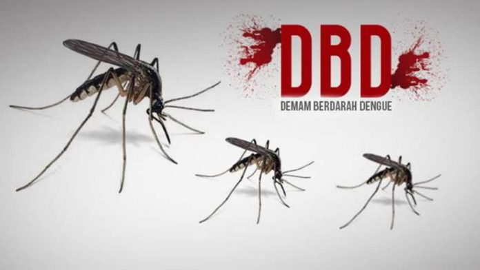 Di Tengah Pandemi Covid-19, Kasus DBD di Banjar Meningkat Cukup Drastis