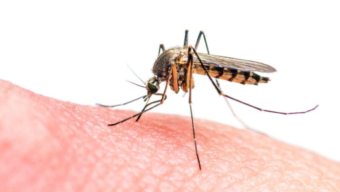 Di Tengah Pandemi, Puluhan Warga Kota Banjar Terserang Penyakit Chikungunya