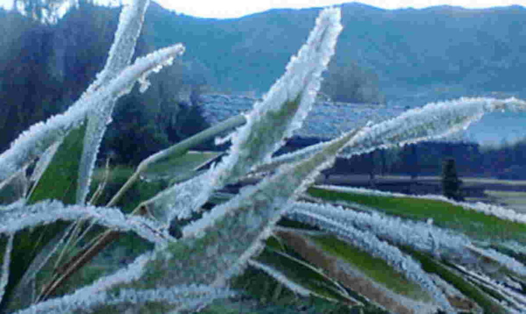 Fenomena Embun Es di Dieng