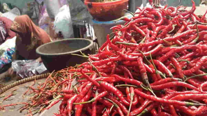 Harga Cabe Merah di Ciamis Merangkak Naik, Petani Sumringah