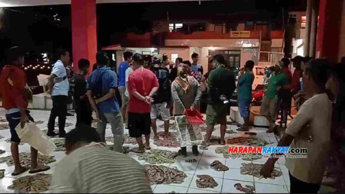 Permintaan Tinggi, Harga Udang di Pangandaran Naik