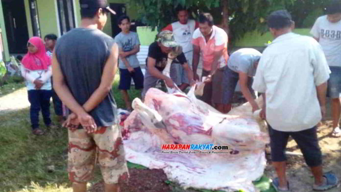 Idul Adha saat pandemi tak menyurutkan warga untuk kembali melaksanakan ibadah qurban. Foto: Entang SR/HR.