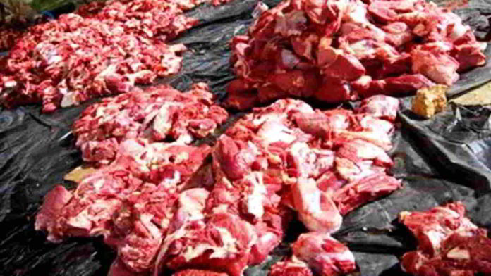Pendistribusian daging qurban diantar mustahik pada saat pelaksanaan Hari Raya Idul Adha 1441 H nanti. Foto: Net/Ist.