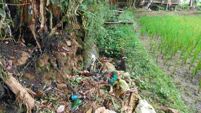 Petani di Pangandaran Kesal, 2,5 Kilometer Jaringan Irigasi Tak Berfungsi