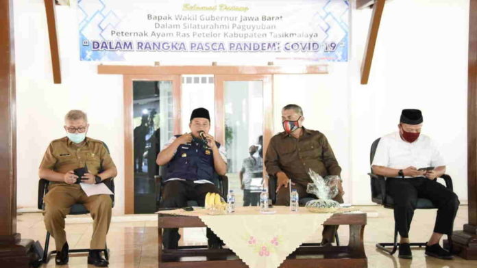 Peternak Ayam Ras Petelur di Tasikmalaya Akan Terima Bantuan 20 Ribu Pullet