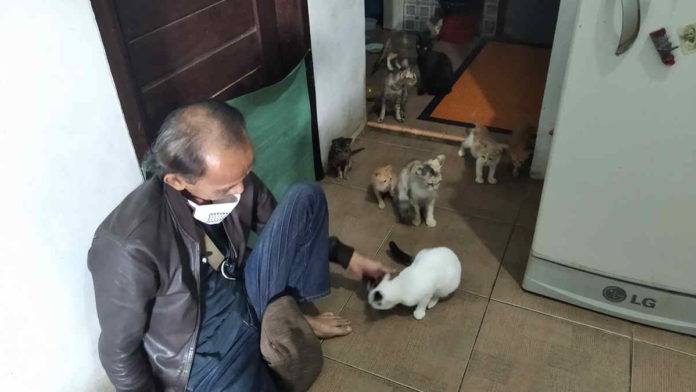 Selamatkan Kucing Liar, Warga Ciamis Bakal Bikin Shelter “Rumah Sahabat Moesha”