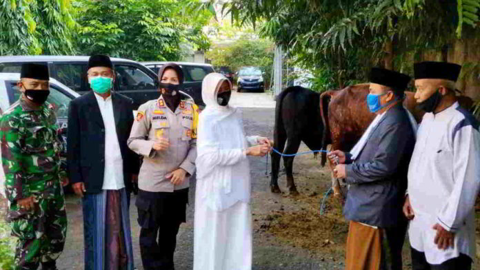 Wali Kota Banjar, Hj. Ade Uu Sukaesih, didampingi Kapolres Banjar, AKBP. Melda Yanny, saat penyerahan hewan qurban pada pengurus DKM Masjid Agung Kota Banjar. Foto: Istimewa.
