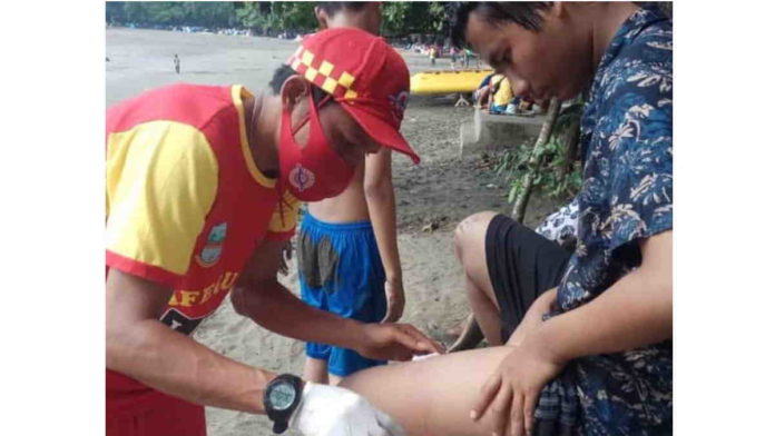 Wisatawan Pangandaran Diimbau Waspada Ubur-ubur Botol Biru