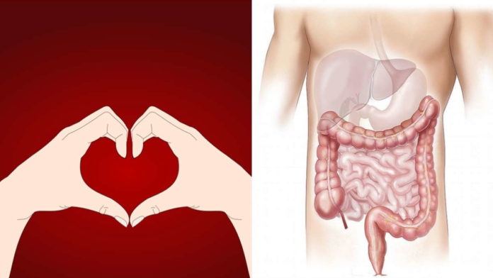 Penyebab Penyakit Liver dan Gejala Liver Ringan