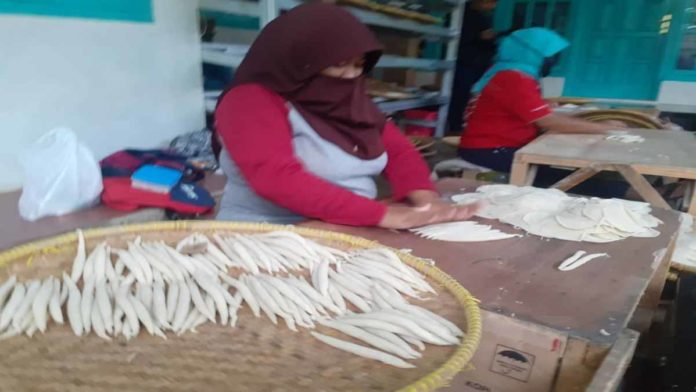 Cemilan Khas Ciamis