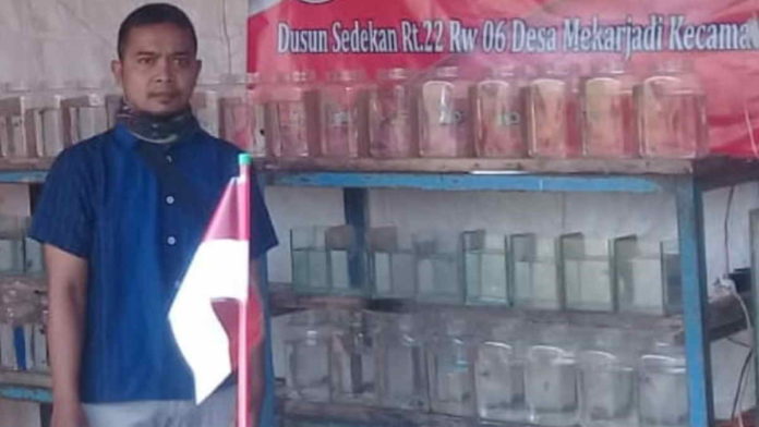 Jadi Sentra Ikan Hias, Karta Mekarjadi Ciamis Minta Pemkab Bangun Saluran Air
