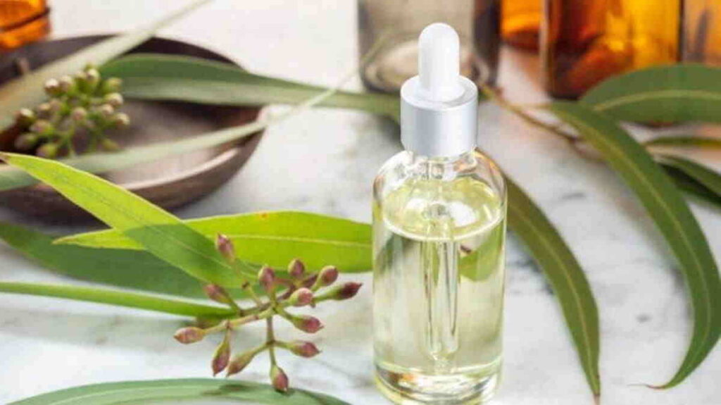 Obat Panas Batuk Pilek