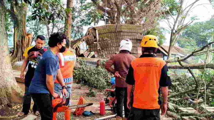 Petugas BPBD Kota Banjar saat membersihkan puing-puing pohon tumbang. Foto: Istimewa.
